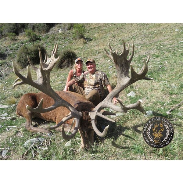 SPECIAL RAFFLE-4: 5-Day Red Stag Hunt in New Zealand