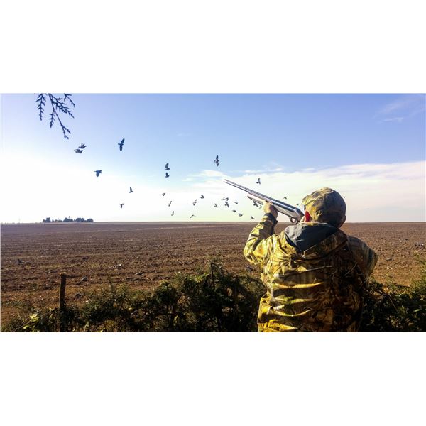 SPECIAL RAFFLE-6: 4-Day High-Volume Dove Hunt in Cordoba
