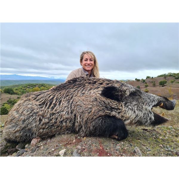 DREAM RAFFLE-2: 5-Day Fallow Deer & Wild Boar Hunt in Macedonia