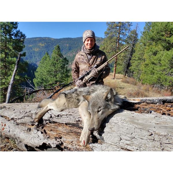 DREAM RAFFLE-8: 6-Day Wolf Hunt in Idaho