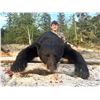 Image 1 : DREAM RAFFLE-9: 6-Day Black Bear Hunt in Canada - Includes Fishing