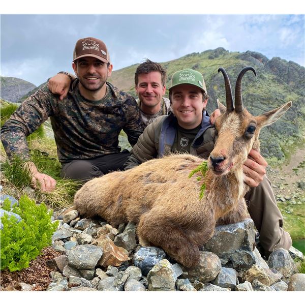 DREAM RAFFLE-10: 5-Day Cantabrian Chamois Hunt in Spain