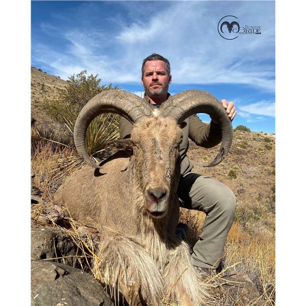 (NEW!) ROWDY MCBRIDE: 3-Day Aoudad Hunt for One Hunter in West Texas - Includes Trophy Fee