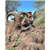 Image 4 : (NEW!) ROWDY MCBRIDE: 3-Day Aoudad Hunt for One Hunter in West Texas - Includes Trophy Fee