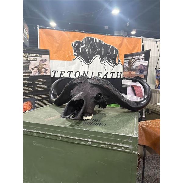 TETON LEATHER: Cape Buffalo Skull Wrapped in Genuine Leather