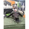 Image 5 : TETON LEATHER: Cape Buffalo Skull Wrapped in Genuine Leather
