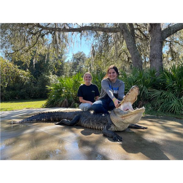 (NEW!) GOD'S COUNTRY: 3-Day/2-Night American Alligator and Wild Boar Hunt for Two Hunters in Florida