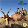 Image 2 : 3-DAY BLACK WILDEBEEST AND BLESBUCK HUNT FOR 1 HUNTER IN SOUTH AFRICA