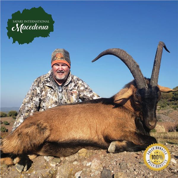 5 - DAY HYBRID KRI-KRI IBEX HUNT IN MACEDONIA!
