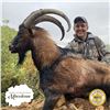 Image 5 : 5 - DAY HYBRID KRI-KRI IBEX HUNT IN MACEDONIA!