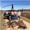Image 2 : HELICOPTER HOG HUNT PACKAGE FOR TWO