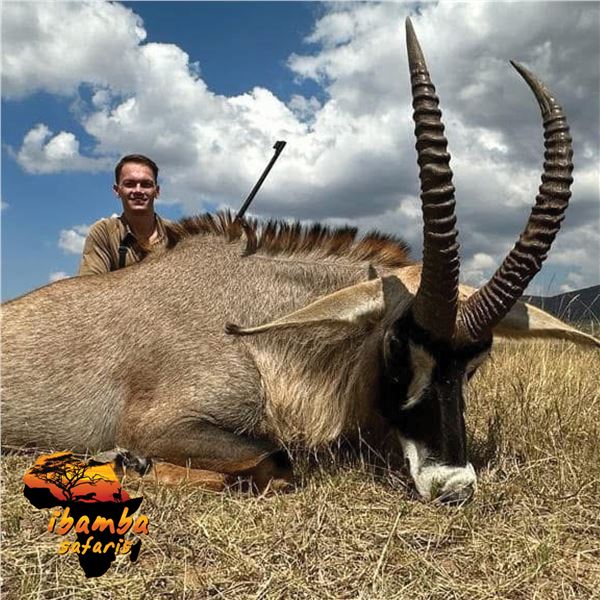 7-DAY SABLE BULL OR ROAN ANTELOPE HUNT FOR 1 HUNTER