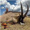 7-DAY SABLE BULL OR ROAN ANTELOPE HUNT FOR 1 HUNTER