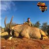 Image 3 : 7-DAY SABLE BULL OR ROAN ANTELOPE HUNT FOR 1 HUNTER