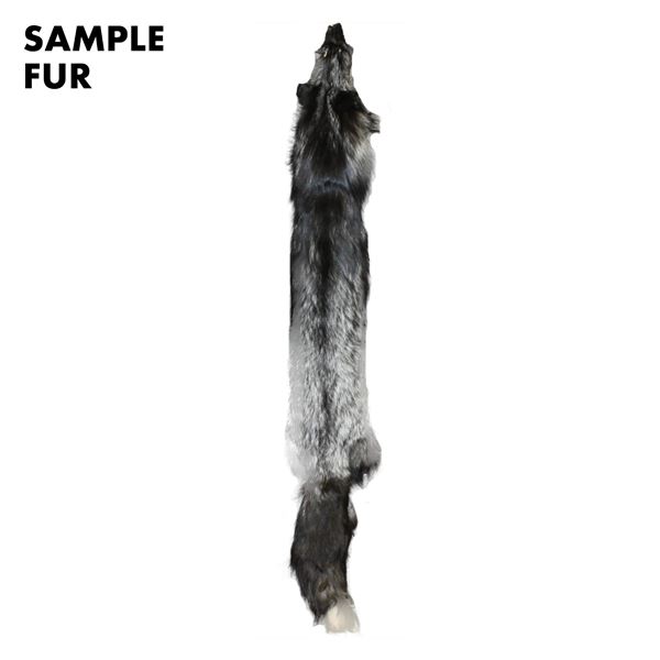 SILVER WOLF PELT