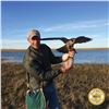 Image 6 : 2-DAY/2-NIGHT UPLAND BIRD HUNT W/LICENSED FALCONER FOR TWO HUNTERS