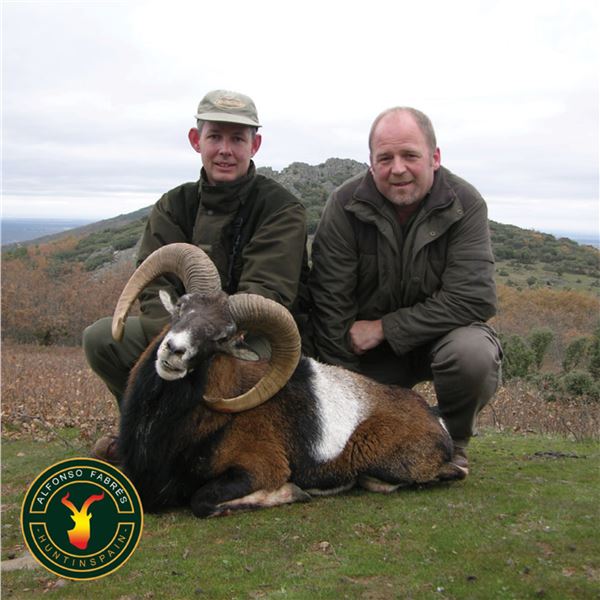 4-DAY MOUFLON OR FALLOW DEER FOR 1 HUNTER & 1 NON-HUNTER
