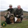 4-DAY MOUFLON OR FALLOW DEER FOR 1 HUNTER & 1 NON-HUNTER