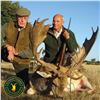 Image 3 : 4-DAY MOUFLON OR FALLOW DEER FOR 1 HUNTER & 1 NON-HUNTER