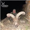 7-DAY EAST CAUCASIAN TUR HUNT FOR 1 HUNTER AND 1 NON-HUNTER