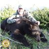 Image 2 : 5- DAY COLUMBIA BLACK TAIL DEER & COASTAL BLACK BEAR HUNT FOR 1 HUNTER