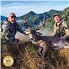 Image 3 : 5- DAY COLUMBIA BLACK TAIL DEER & COASTAL BLACK BEAR HUNT FOR 1 HUNTER