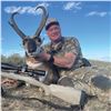 Image 1 : STATE OF NEVADA PRONGHORN TAG 2026