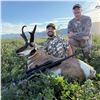 Image 2 : STATE OF NEVADA PRONGHORN TAG 2026
