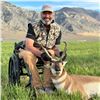 Image 3 : STATE OF NEVADA PRONGHORN TAG 2026