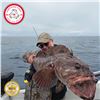 Image 5 : 3-NIGHT/2-DAY HALIBUT, SALMON, AND GROUND FISH TRIP IN PORT HARDY BC FOR 2 ANGLERS