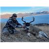 Image 7 : 5-DAY/6-NIGHT KODIAK SITKA BLACKTAIL DEER, SEA DUCK AND FOX COMBO HUNT FOR 2 HUNTERS