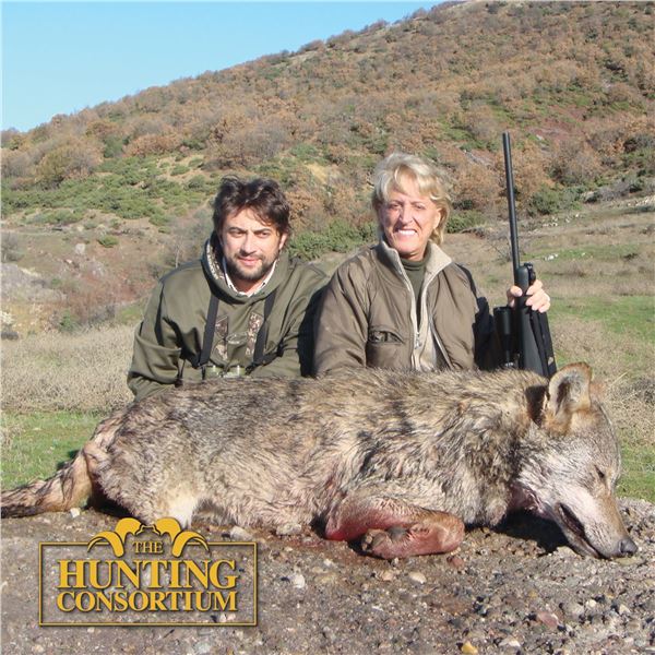 3 - DAY FREE-RANGE BALKAN CHAMOIS OR EUROPEAN GRAY WOLF HUNT IN MACEDONIA FOR 1 HUNTER