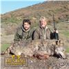 3 - DAY FREE-RANGE BALKAN CHAMOIS OR EUROPEAN GRAY WOLF HUNT IN MACEDONIA FOR 1 HUNTER