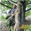 Image 5 : 3 - DAY FREE-RANGE BALKAN CHAMOIS OR EUROPEAN GRAY WOLF HUNT IN MACEDONIA FOR 1 HUNTER