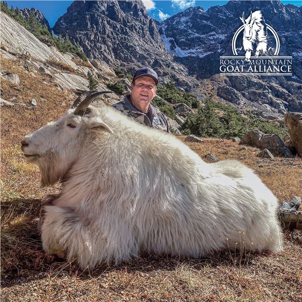 COLORADO ROCKY MOUNTAIN GOAT LICENSE