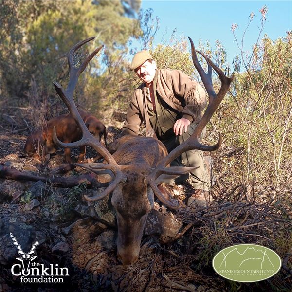 5-DAY IBERIAN MOUFLON SHEEP/IBERIAN RED DEER OR FALLOW DEER FOR 2 HUNTERS & 2 NON-HUNTERS