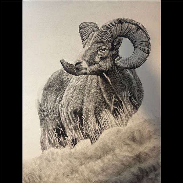“HIGH LIFE RAM” ORIGINAL DRAWING