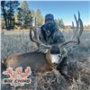 7-DAY MULE DEER HUNT IN ARIZONA FOR 1 HUNTER