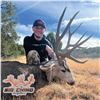 Image 2 : 7-DAY MULE DEER HUNT IN ARIZONA FOR 1 HUNTER