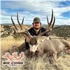 Image 3 : 7-DAY MULE DEER HUNT IN ARIZONA FOR 1 HUNTER