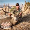 Image 4 : 7-DAY MULE DEER HUNT IN ARIZONA FOR 1 HUNTER