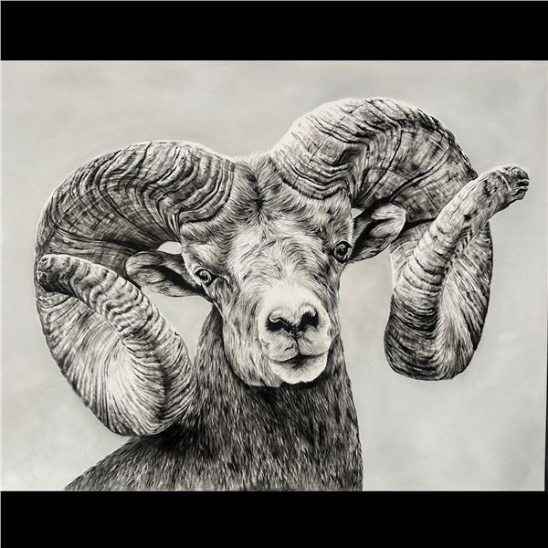 FRAMED ORIGINAL CHARCOAL POWDER DRAWING “THE RAM” - 30X40