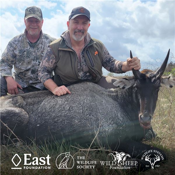 2 1/2-DAY/3-NIGHT NILGAI BULL HUNT IN TEXAS FOR 1 HUNTER AND 1 NON-HUNTER