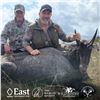 Image 1 : 2 1/2-DAY/3-NIGHT NILGAI BULL HUNT IN TEXAS FOR 1 HUNTER AND 1 NON-HUNTER