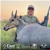 Image 3 : 2 1/2-DAY/3-NIGHT NILGAI BULL HUNT IN TEXAS FOR 1 HUNTER AND 1 NON-HUNTER
