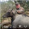 Image 4 : 2 1/2-DAY/3-NIGHT NILGAI BULL HUNT IN TEXAS FOR 1 HUNTER AND 1 NON-HUNTER