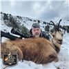 4 - DAY PYRENEAN CHAMOIS OR MOUFLON HUNT FOR 2 HUNTERS AND 2 NON-HUNTERS