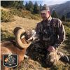 Image 2 : 4 - DAY PYRENEAN CHAMOIS OR MOUFLON HUNT FOR 2 HUNTERS AND 2 NON-HUNTERS