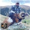Image 4 : 4 - DAY PYRENEAN CHAMOIS OR MOUFLON HUNT FOR 2 HUNTERS AND 2 NON-HUNTERS