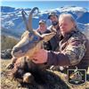Image 5 : 4 - DAY PYRENEAN CHAMOIS OR MOUFLON HUNT FOR 2 HUNTERS AND 2 NON-HUNTERS